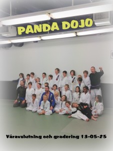 Panda Dojo 1